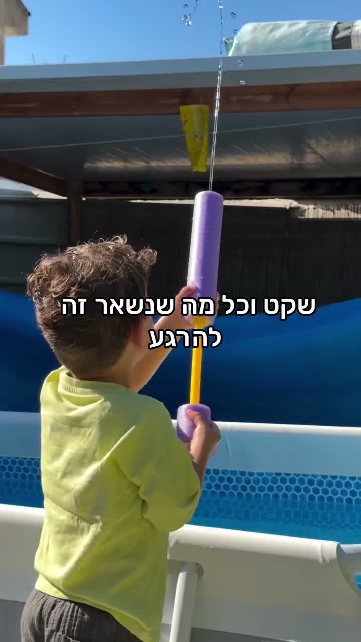 תמונת השער של silva ALFi