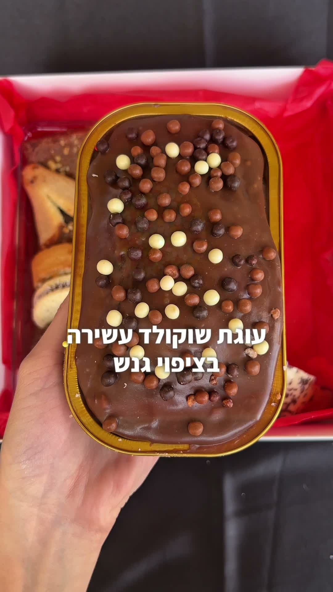 עבודה של שני שביט, סרטון