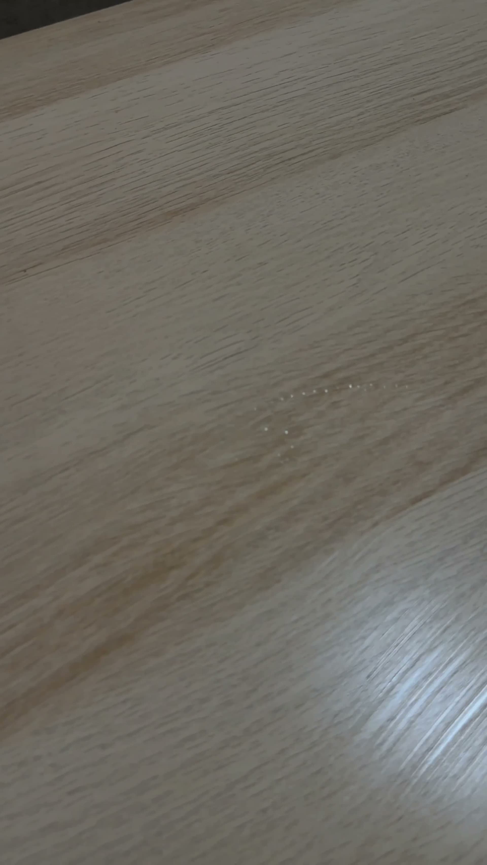 עבודה של mishel, סרטון
