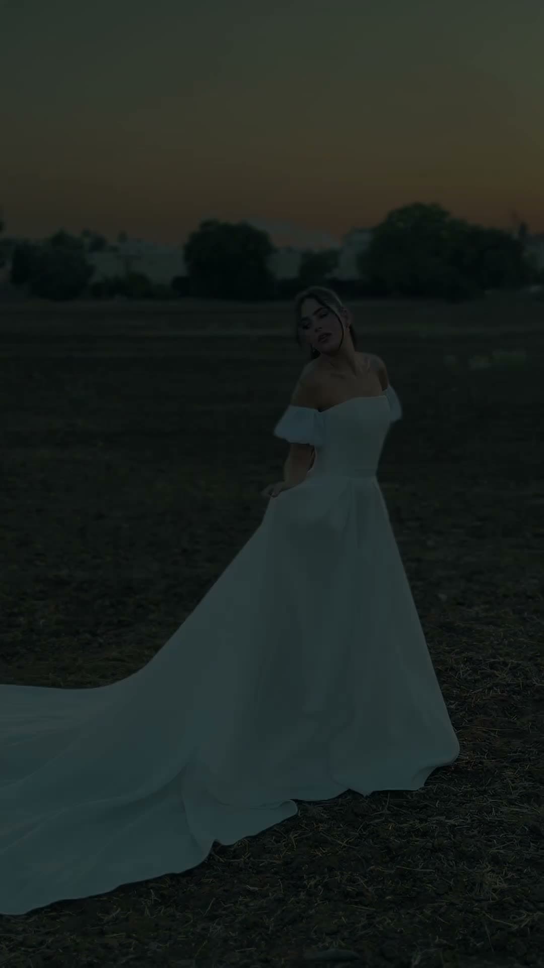 עבודה של Daniella Ophir, סרטון