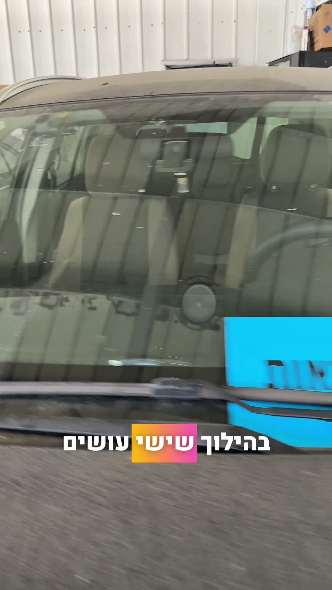 עבודה של מיטל גרין, סרטון