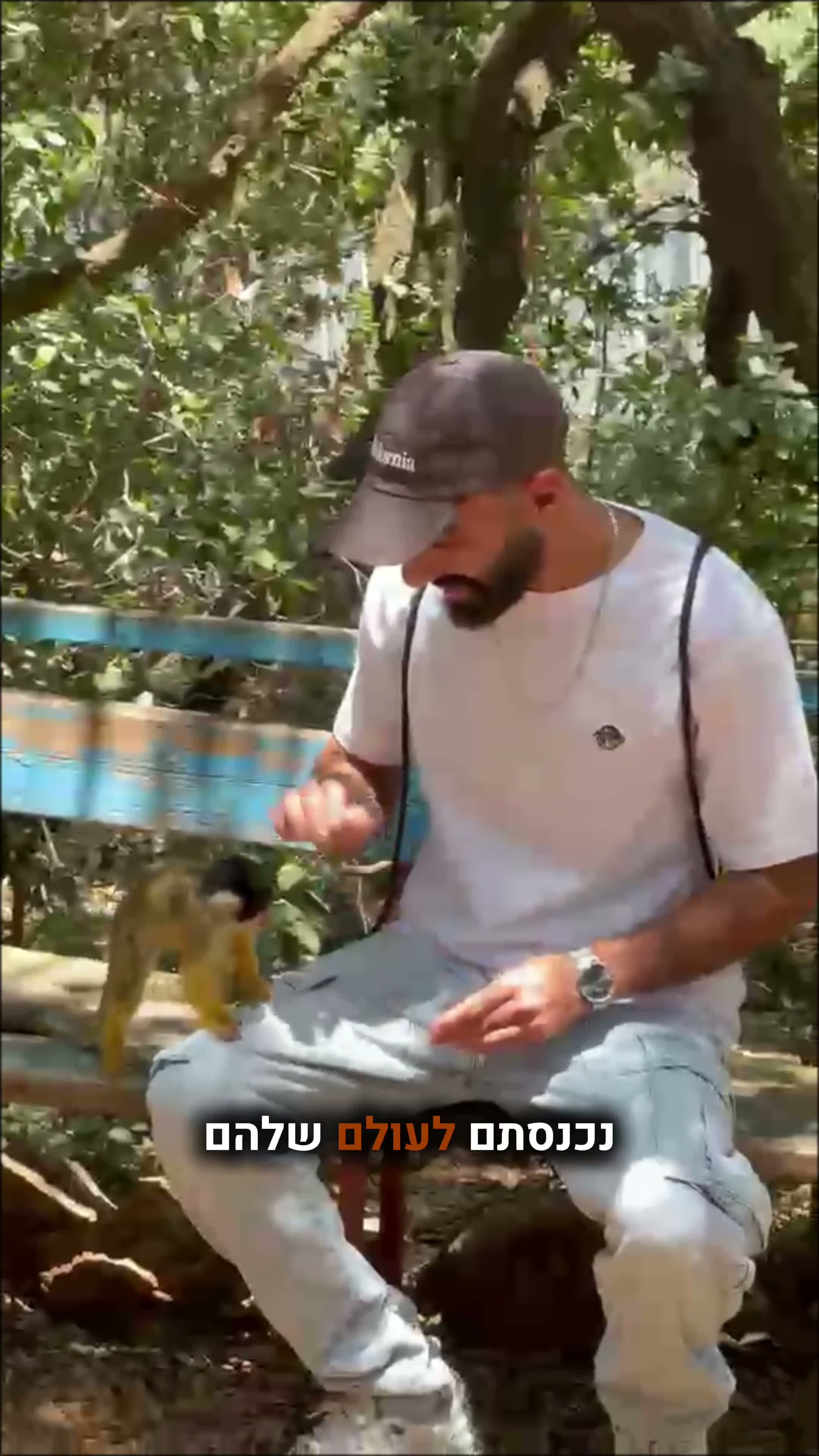 עבודה של mishel, סרטון